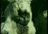 ТВ Познакомьтесь с вашим мясом / Meet your meat (2002) - cцена 2