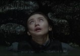 Фильм Звонок 2 / Ringu 2 (1999) - cцена 2