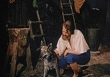 Фильм Робинзон Крузо / Robinson Crusoe (1954) - cцена 2